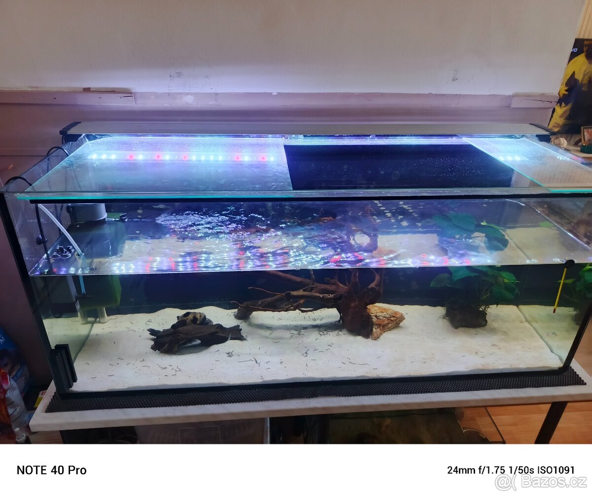 Akvárium 240 l - 5