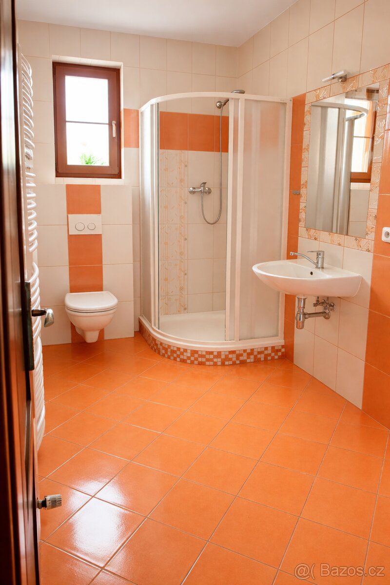 Pronájem bytu 3+kk - 5
