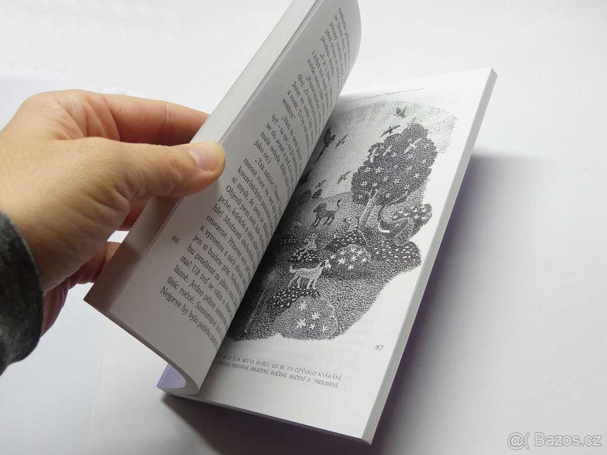 Čardodějův synovec, Letopisy Narnie, Návrat domů - 5