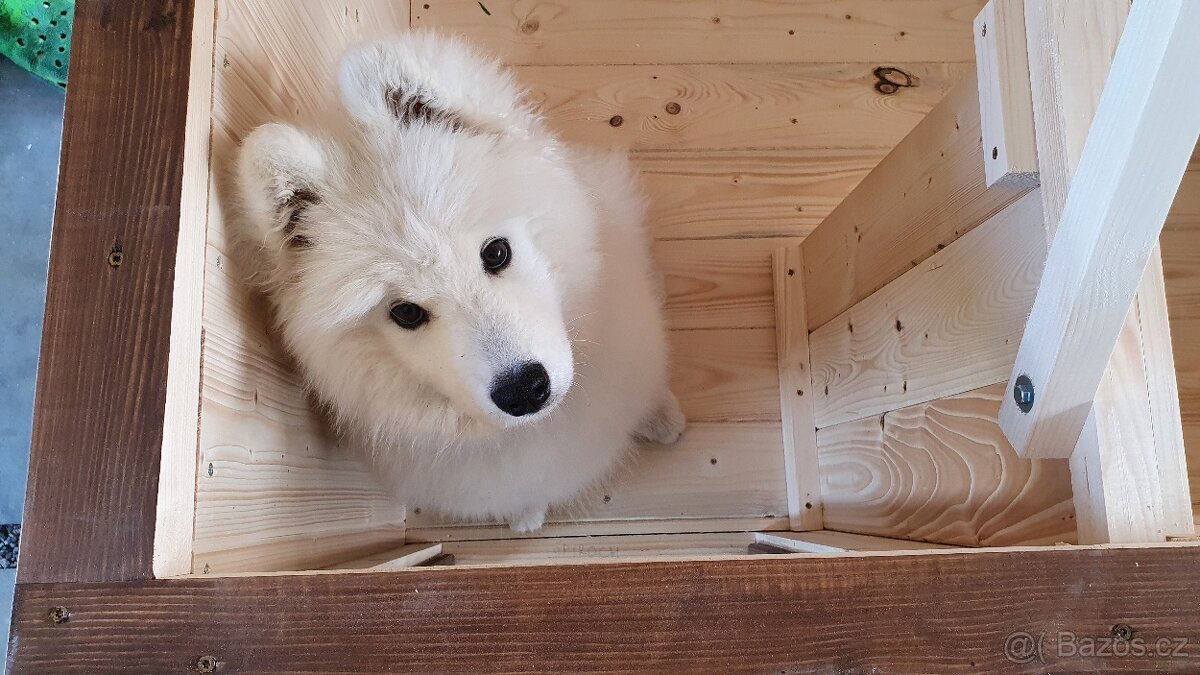 psí bouda, boudy pro psy - 5