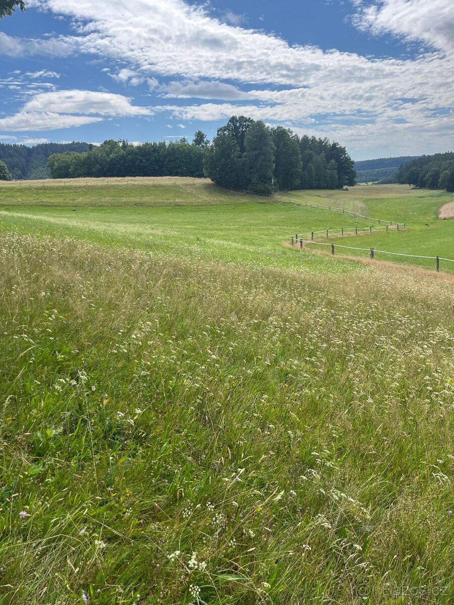 Pastevní ustájení - 5