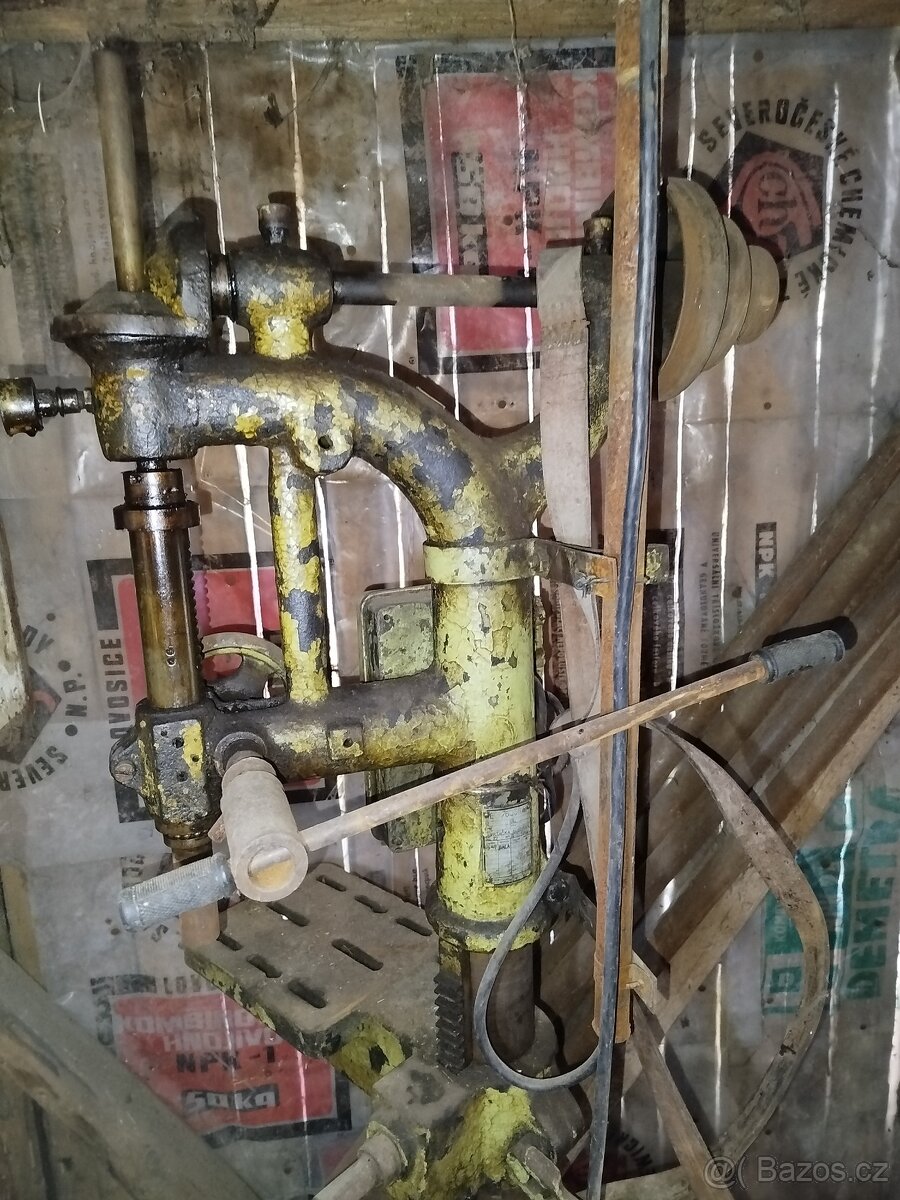 Vrtačka sloupová - 5