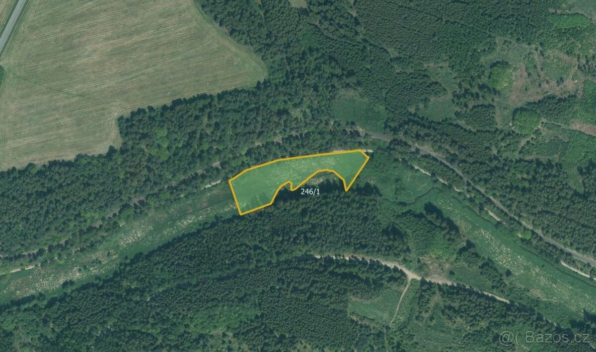 Zemědělská půda, prodej, Skviřín, Bor, Tachov - 5