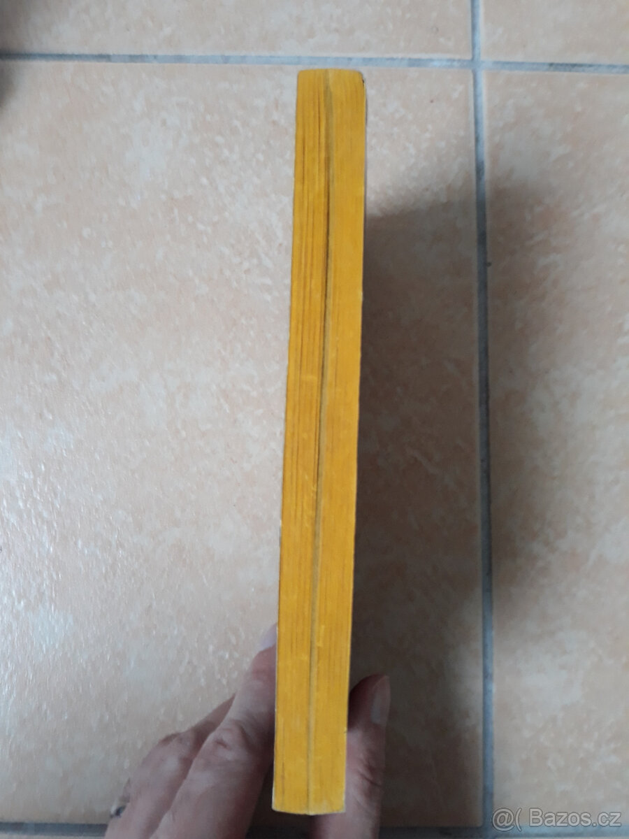 Kniha od Ericha von Danikena v angličtině - 5