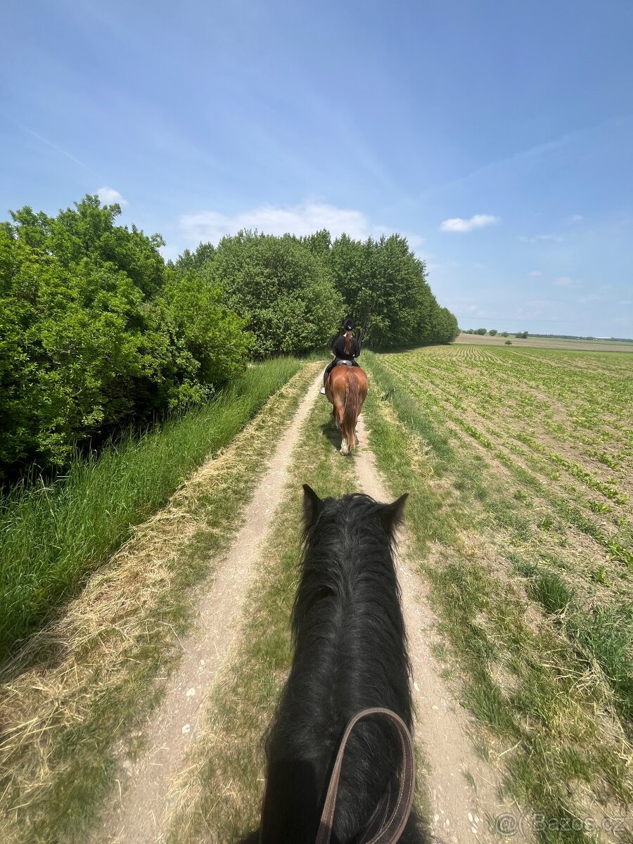 Příměstský tábor u koní - 5