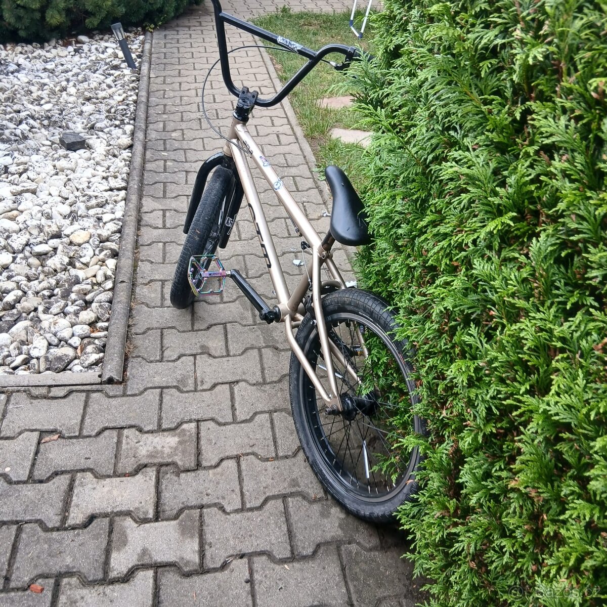 BMX CTM pop - 5