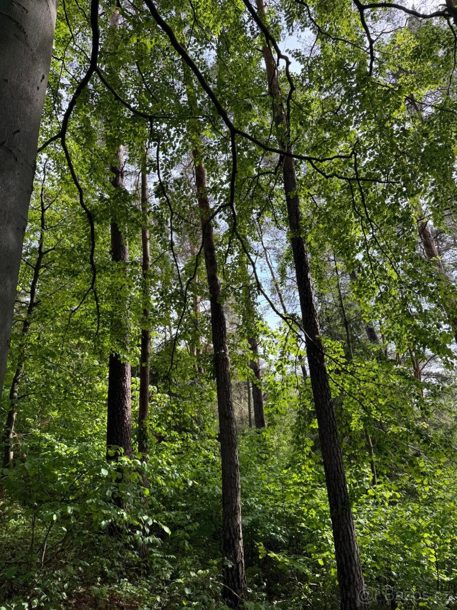 Prodám pozemky v katastrálním území Český Dub - 5