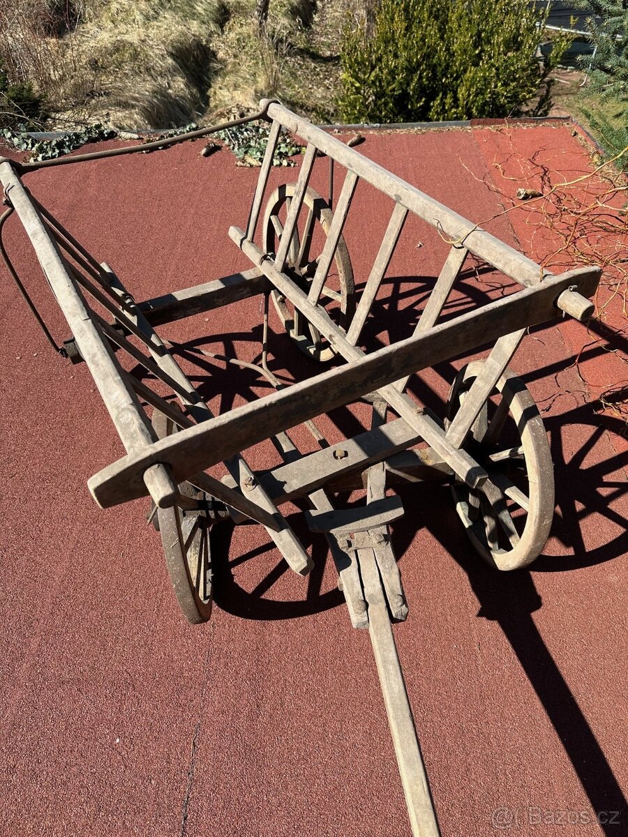 Starý žebřiňák - 5