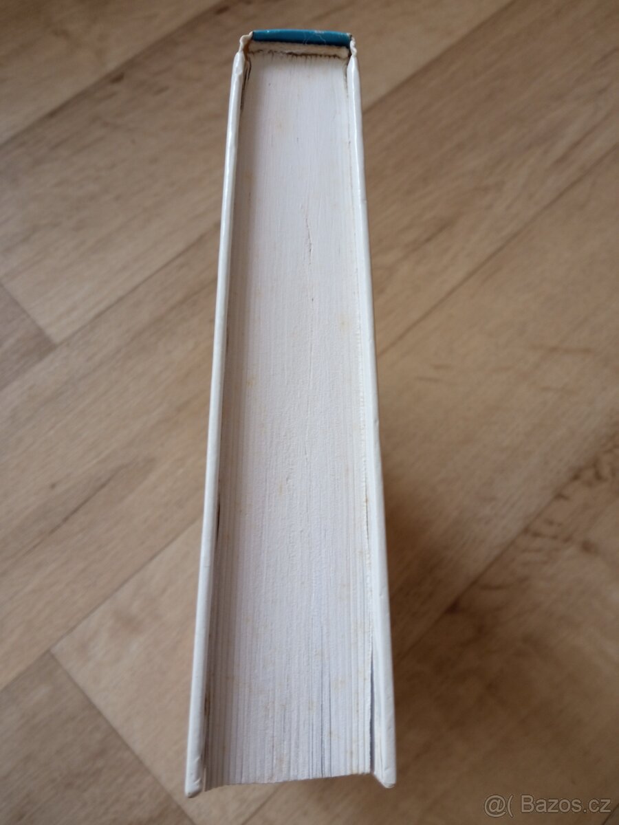 Pedagogický slovník - 5