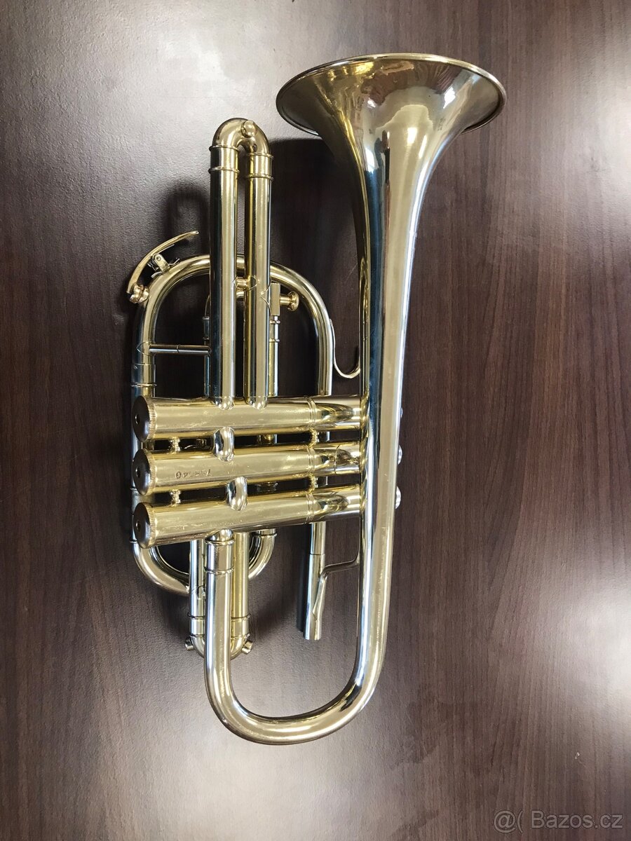 Cornet b - 5