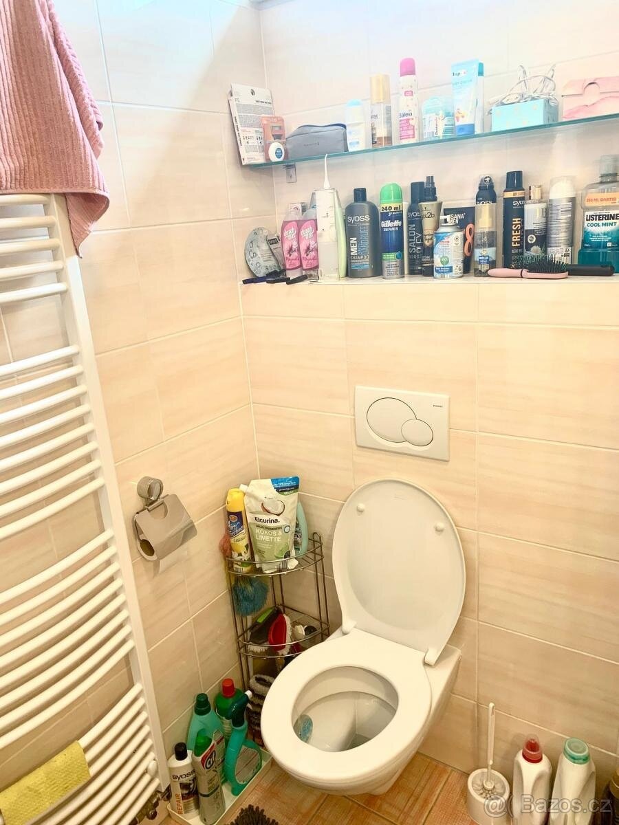 Pronajem 1kk Novodvorska - 5