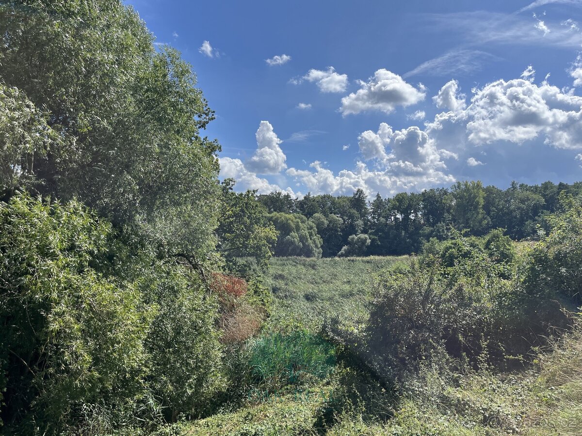 Prodej pozemky - trvalý travní porost, 698 m² - Praha - Král - 5