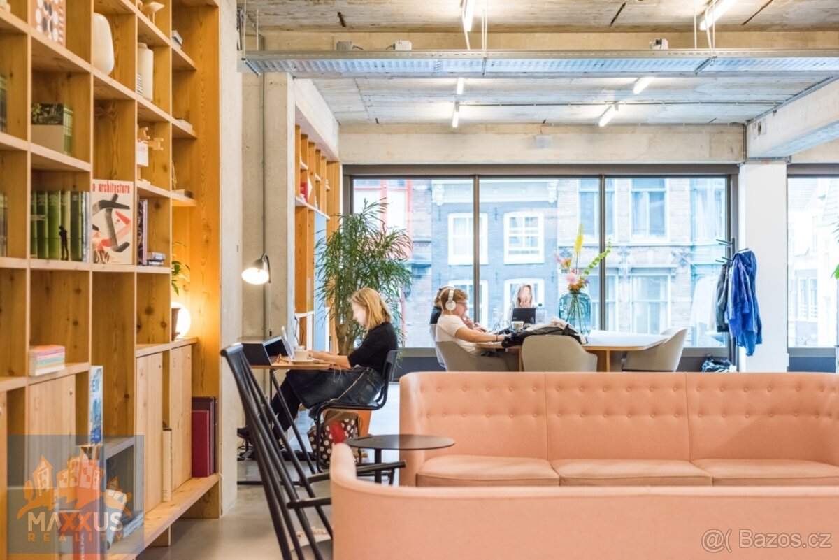 Světlem prozářená flexibilní kancelář pro 1 osobu, Praha 1 - - 5