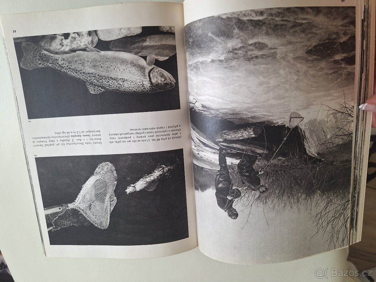 Velký obrazový atlas ryb - 5