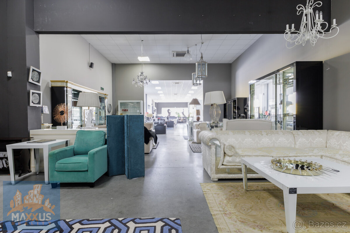 Pronájem obchodních prostor/showroomu (396,9 m2), SHOP PARK - 5