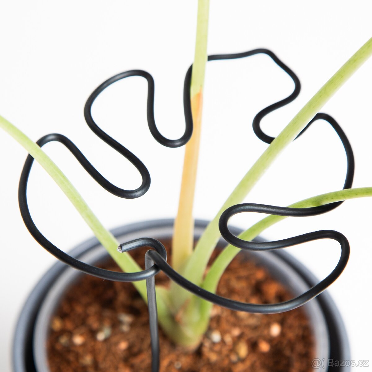 Opora pro rostliny, list monastery, černá - 5