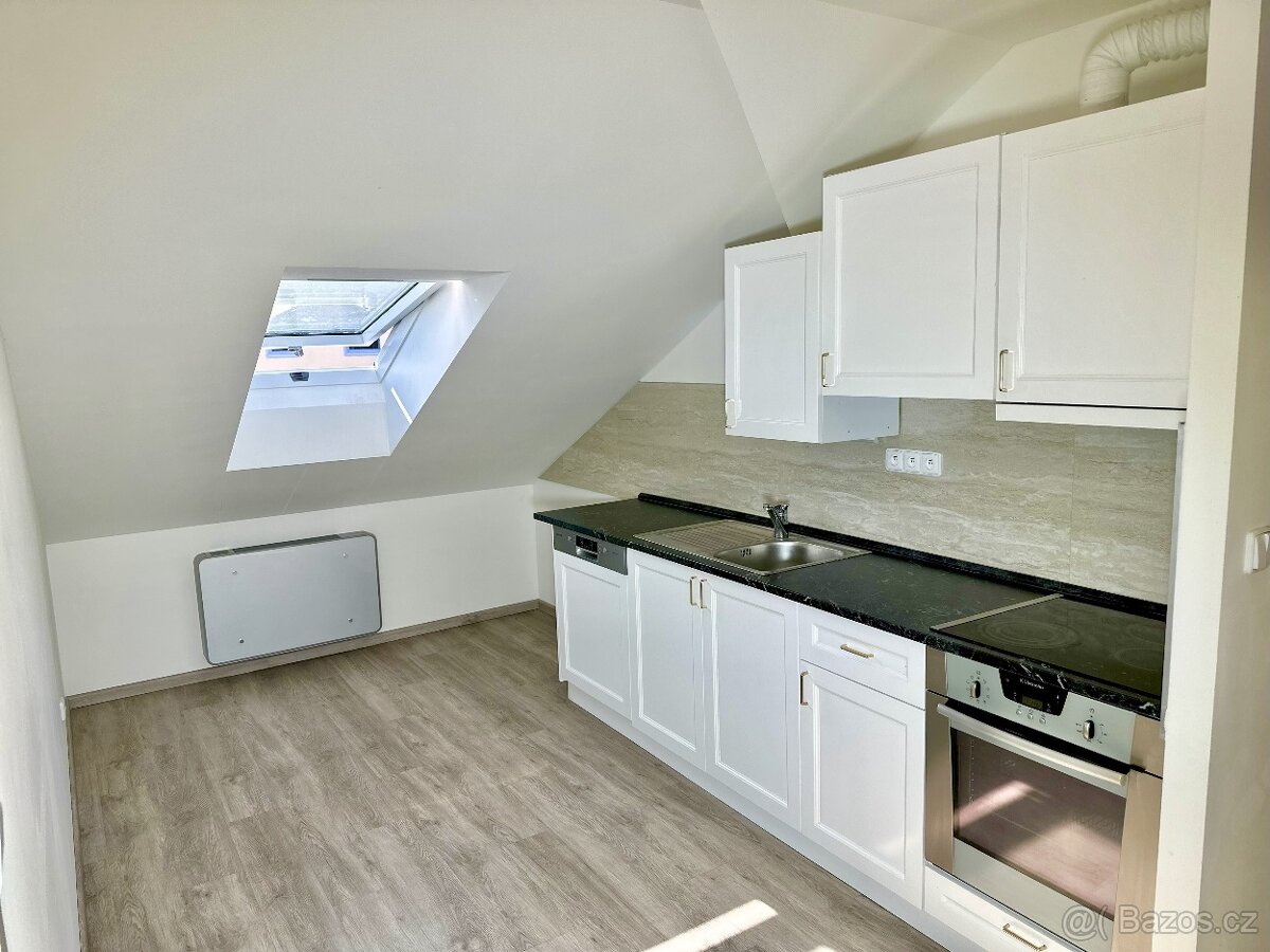 Pronájem paletových míst + kanceláře/byt pro zaměstnance (Lu - 5