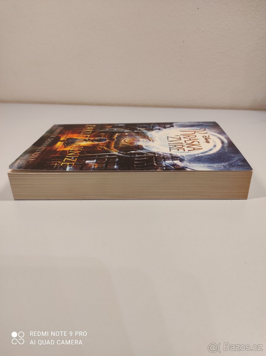 kniha - Kráska a Zvíře zakletá v knize - 5