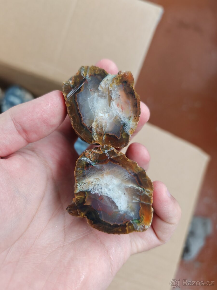 Acháty řezy Timor - 5