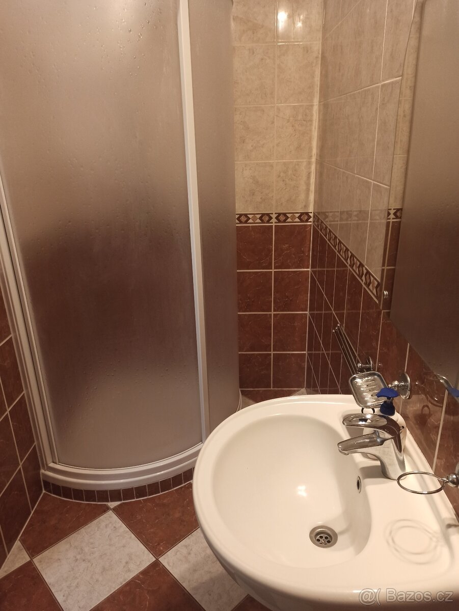 Pronájem bytu 2+1 Holešov - 5