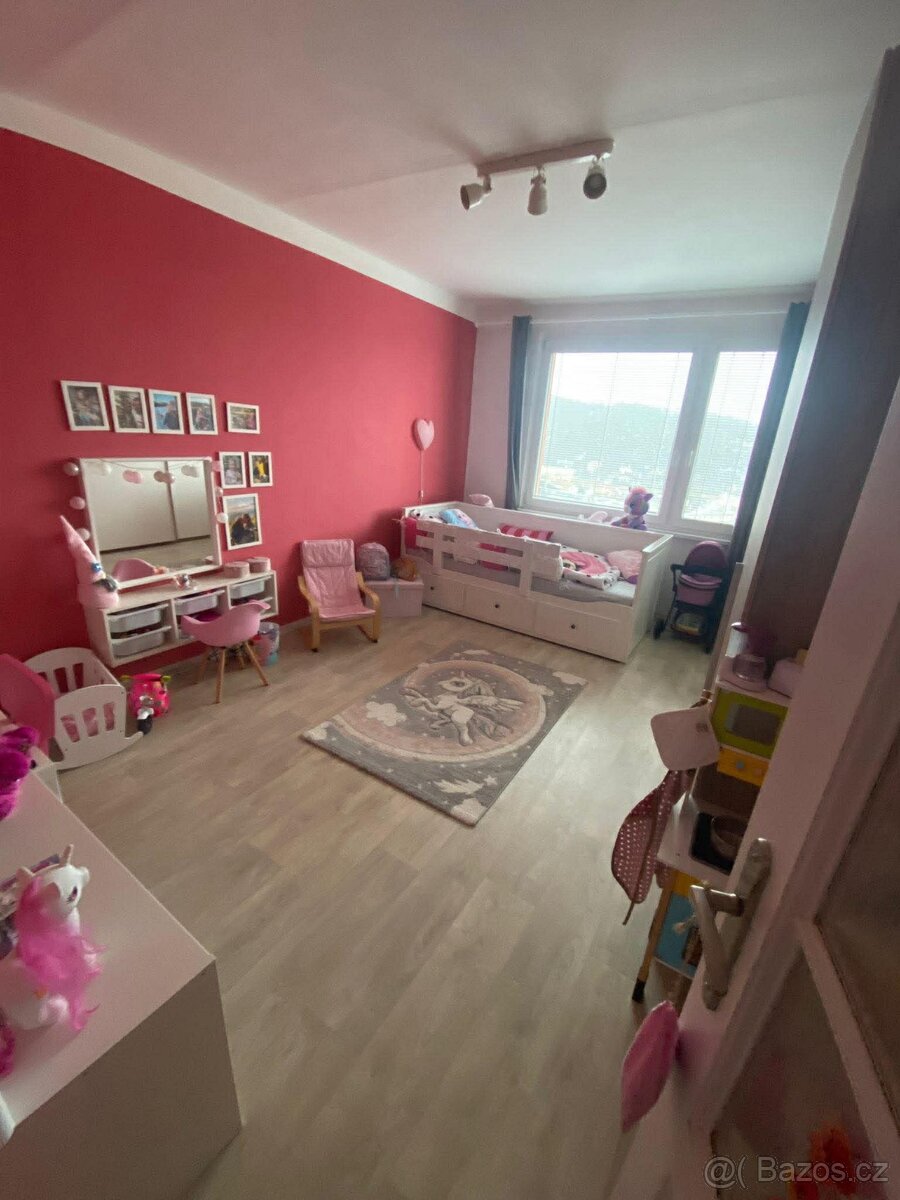 Pronájem bytu Střekov 2+1 - 5
