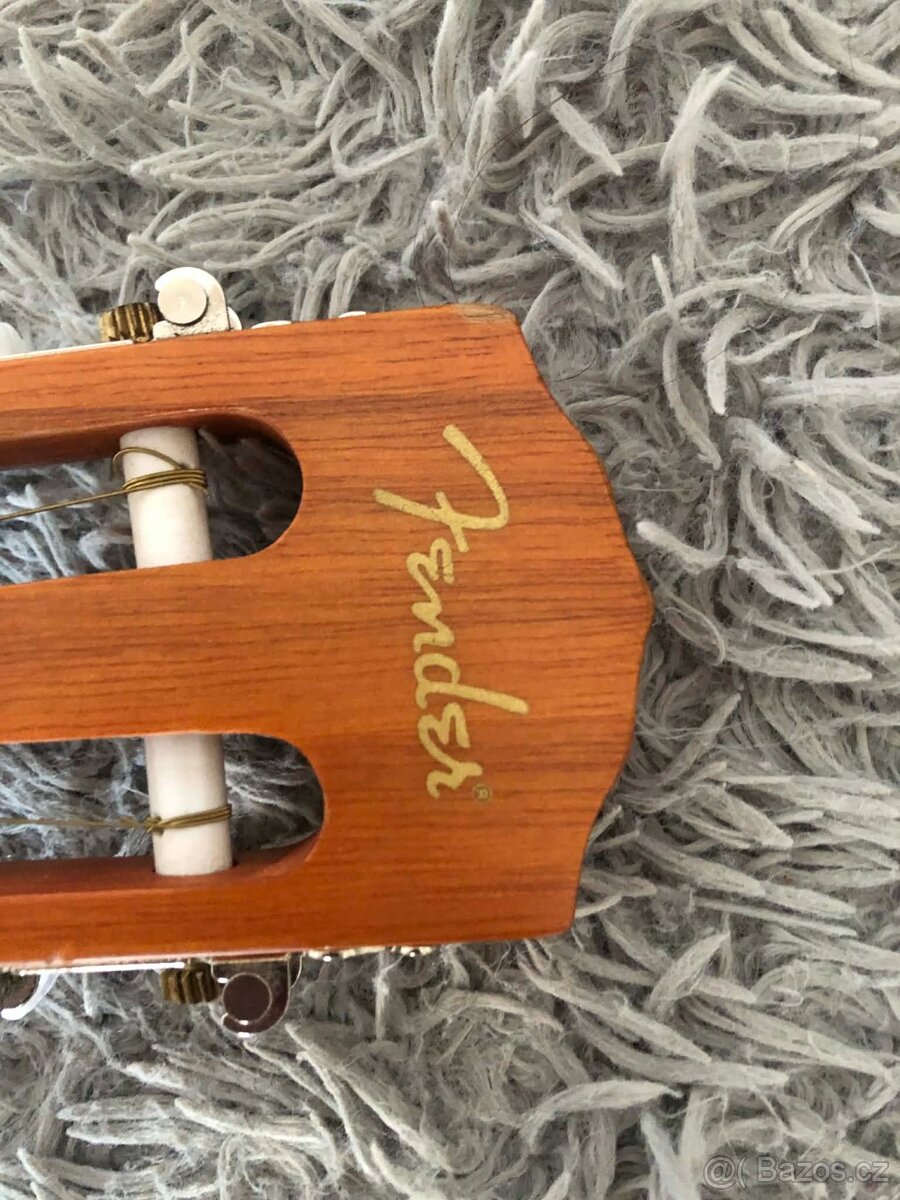 Kytara fender - 5