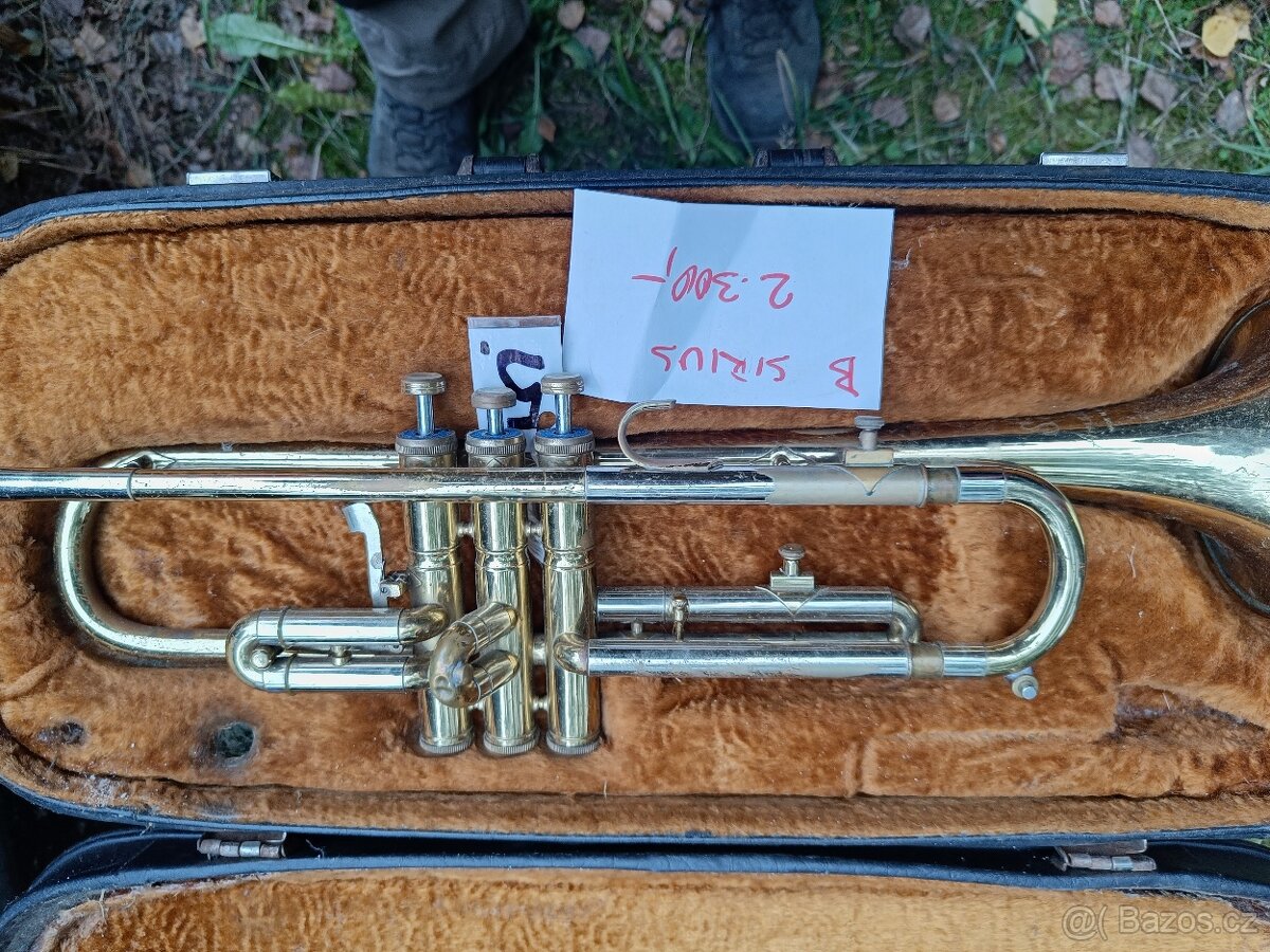 Prodám dechové nástroje. Amati, Lídl, Toneking, pozoun, trom - 5