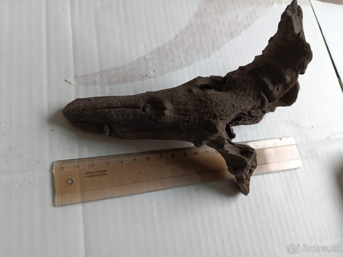 akvarijní kořen - 5