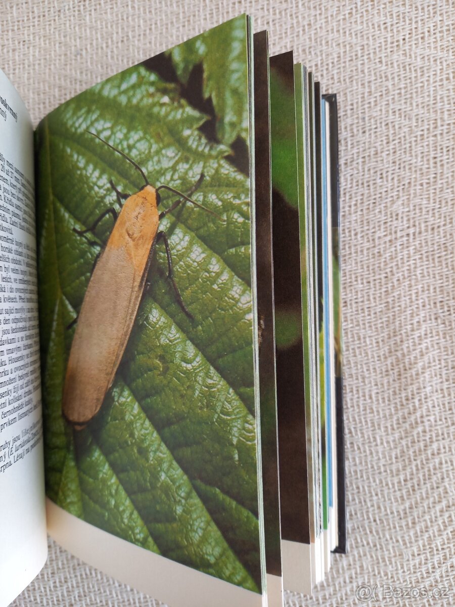 Kapesní atlas motýlů - 5