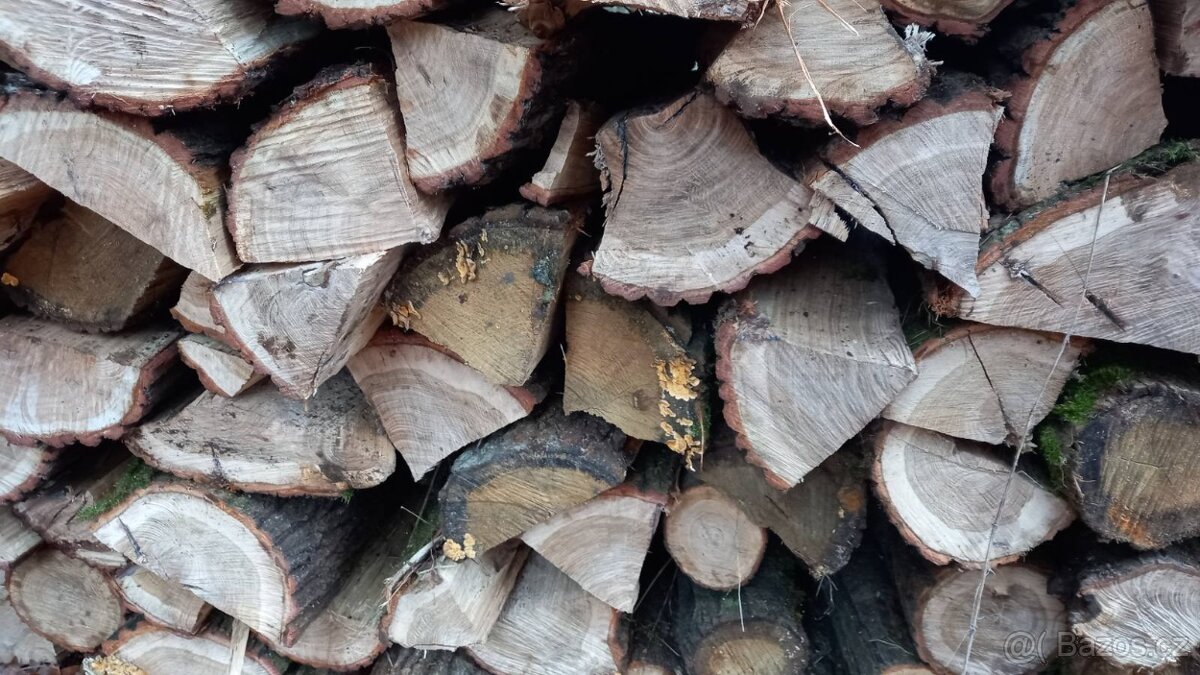 Palivove drevo - 5