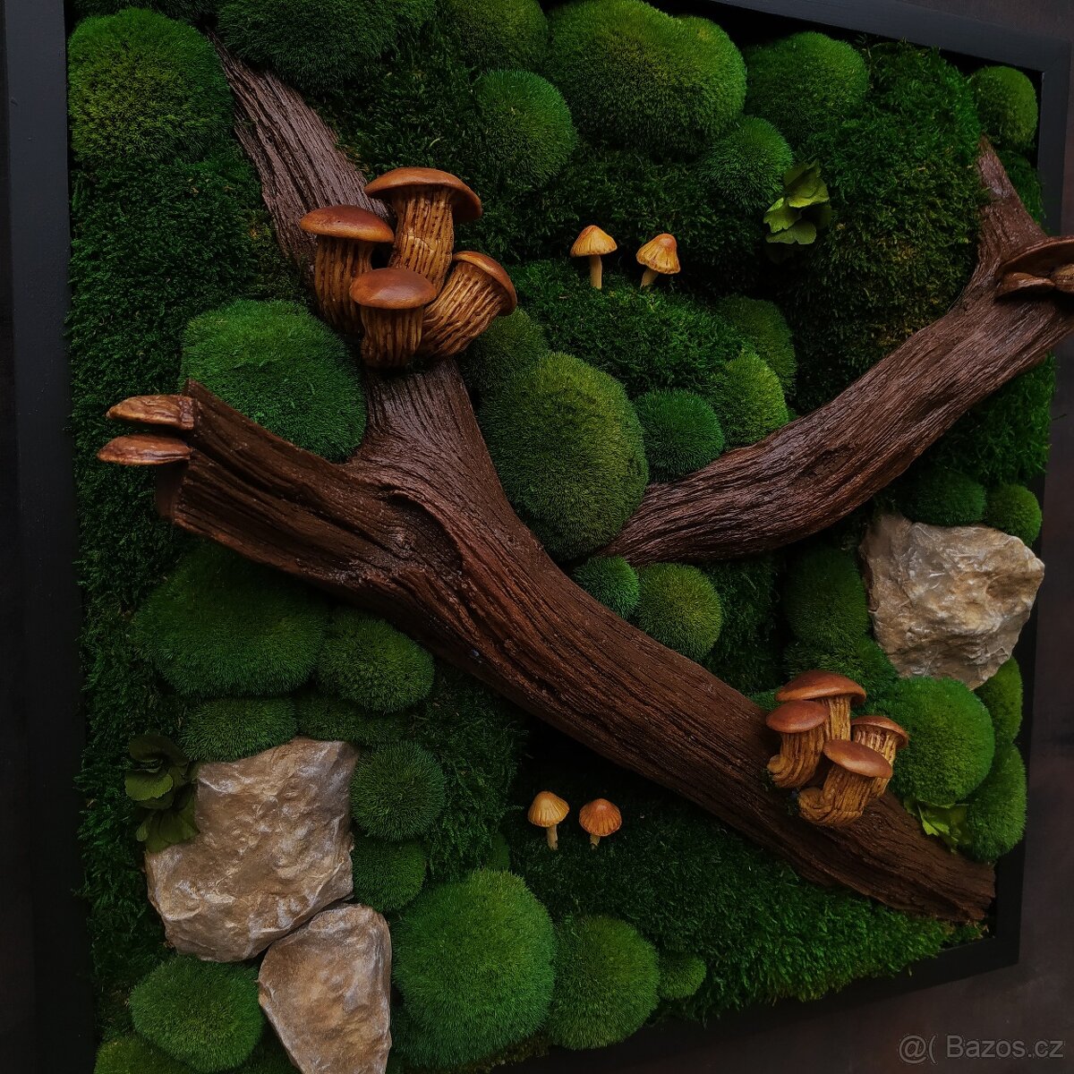 Mechový obraz / obraz ze stabilizovaného mechu - 5