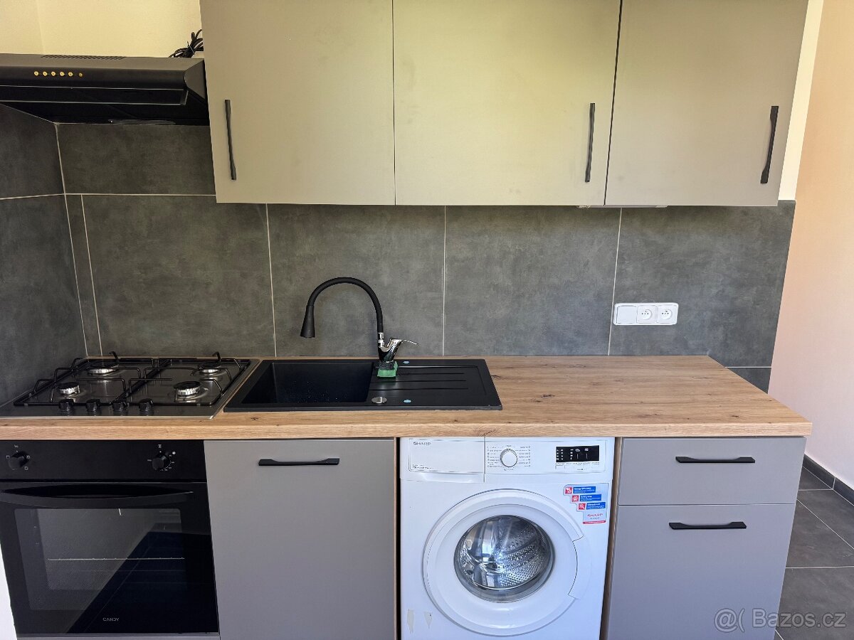 Pronajmu 3+1 v Plane - 5