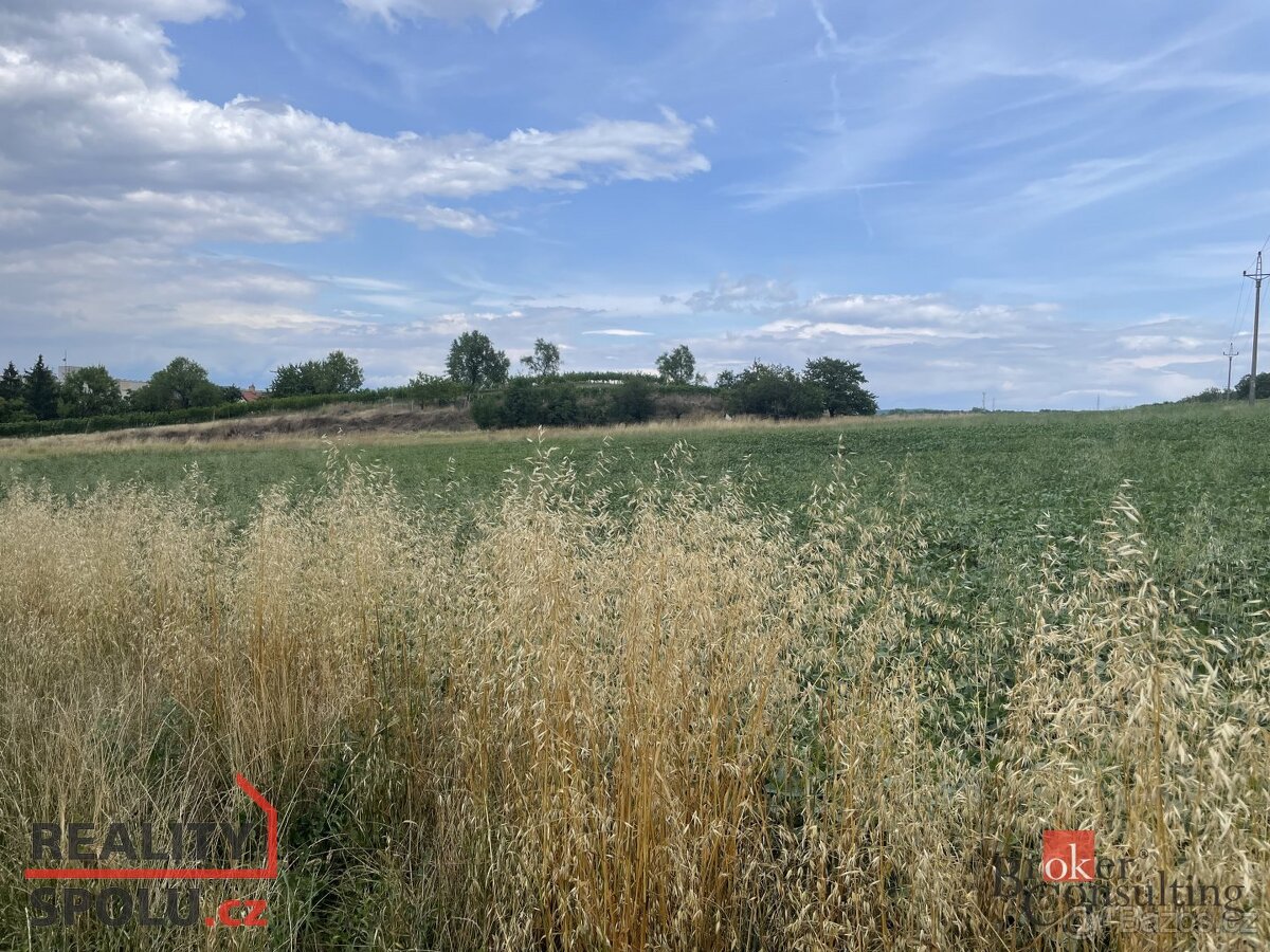 Prodej, pozemky/bydlení, 788 m2, Hustopeče, Břeclav [ID 7392 - 5