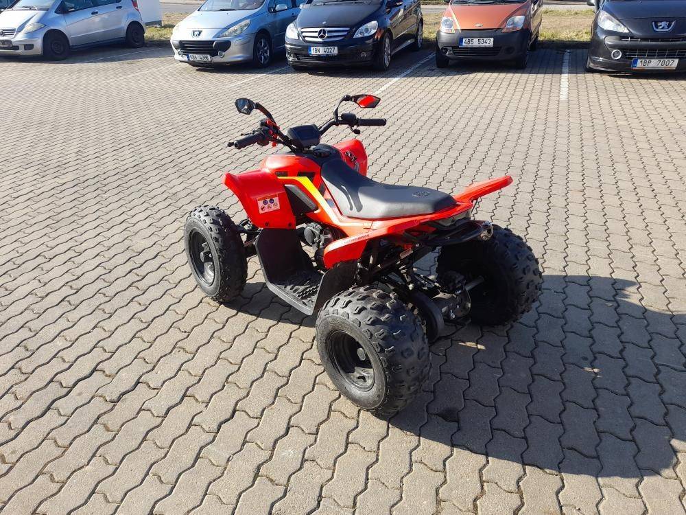 GLADIATOR X110LE
