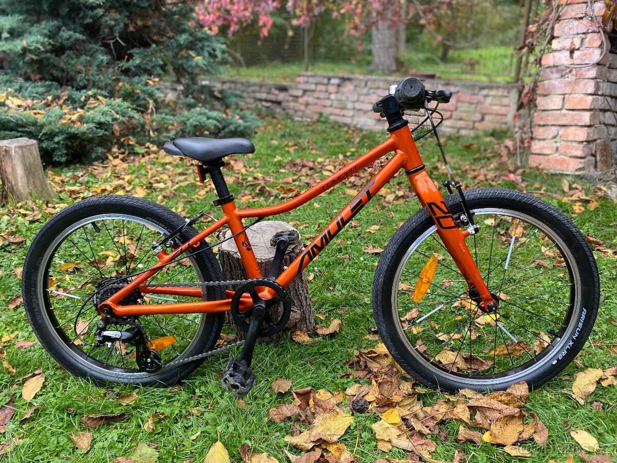 Dětské kolo Amulet Tomcat vel. 20, 8,3kg - 5