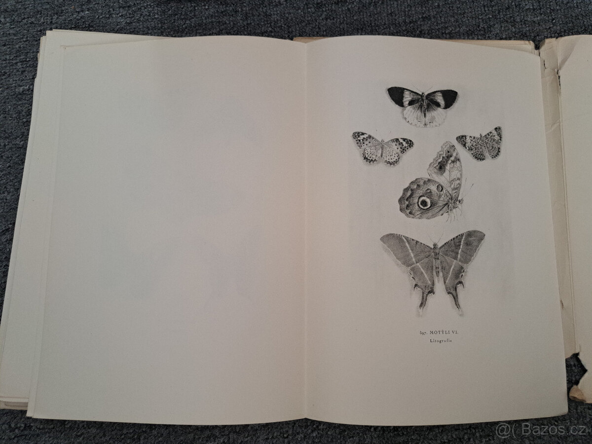 Max Švabinský Popisný seznam díla - 5