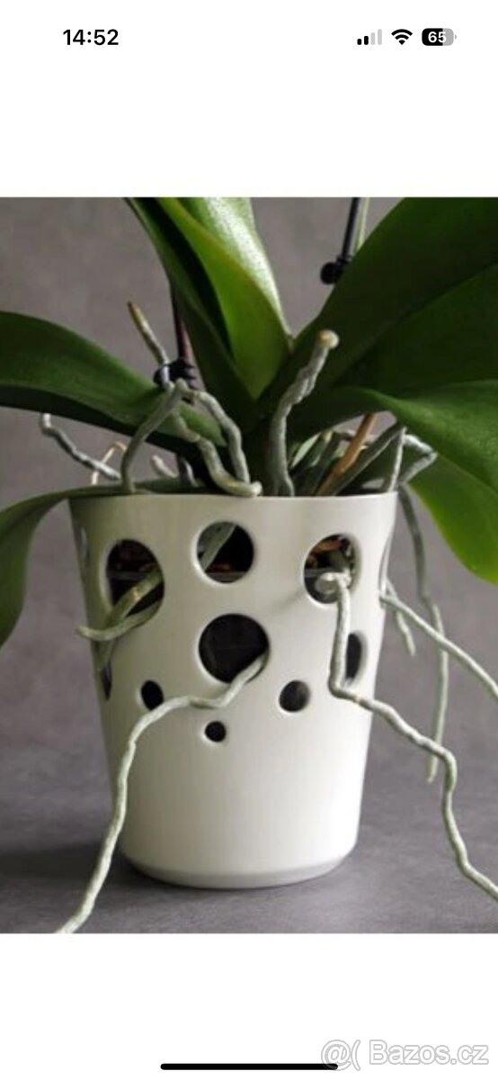 OBAL NA KVĚTINÁČE - 5