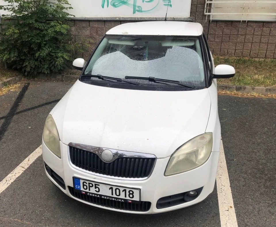 Skoda Fabia ii 1.4 tdi - 5