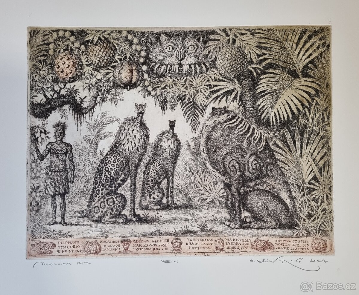 Predám grafické práce Petra Kľúčika. - 5