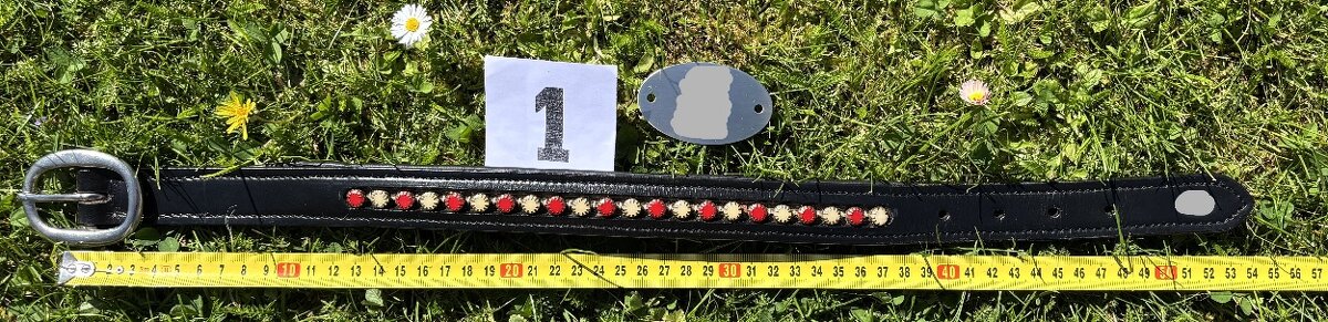 Kožený psí obojek bez připojení na vodítko, náhrdelník MIX - 5