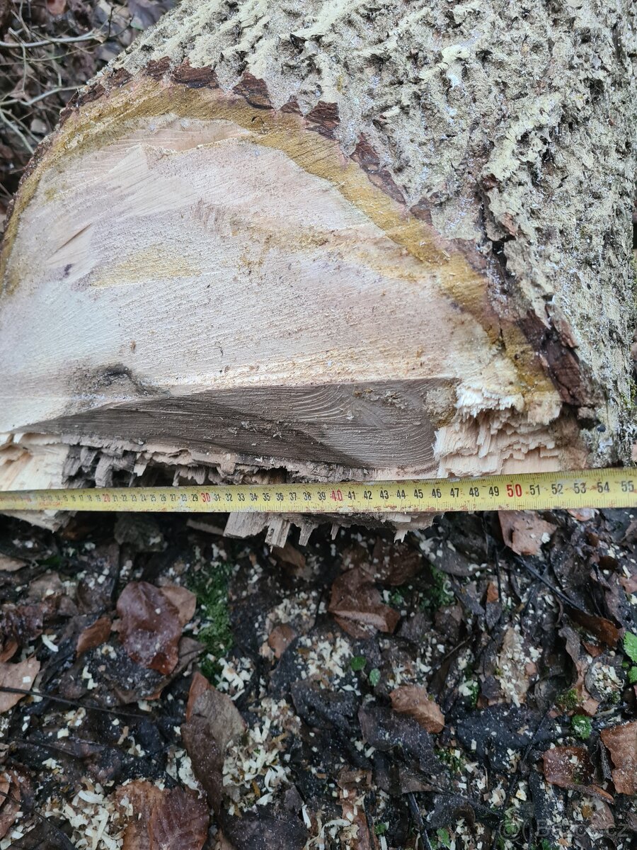 Prodám ořechové dřevo 1,5 m3 - 5