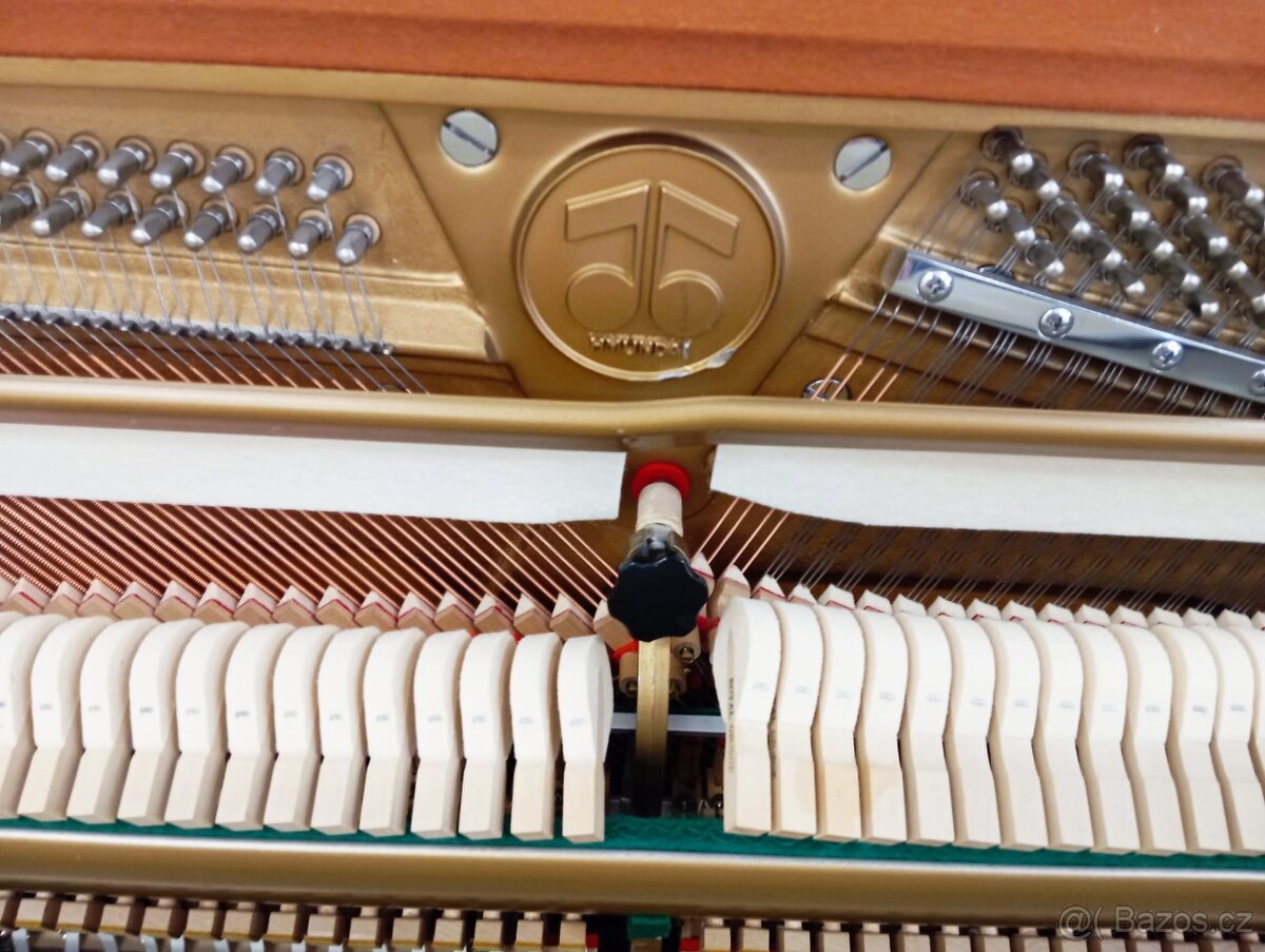 Aspheim (Hyundai)/lesk/-Dovoz i na Štědrý den 24.12. - 5