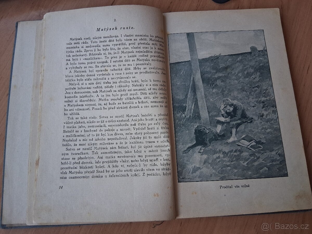 Kniha z roku 1919 DOKTOR HRBÁČEK Román dítěte H.Špolc - 5