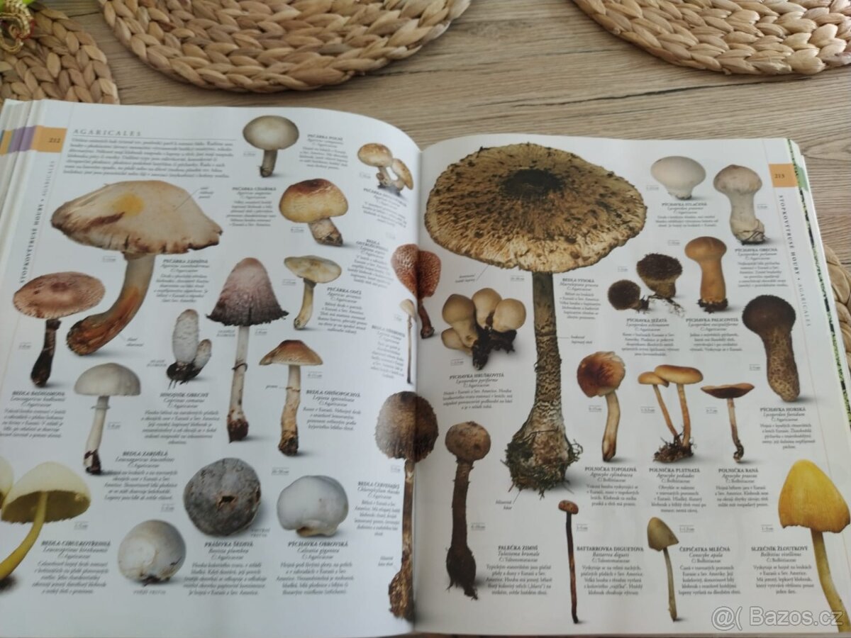 Příroda Velký obrazový průvodce - 5