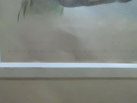 Starožitné Ručně Kolorované Litografie CHEZ AUBERT cca 1830 - 5