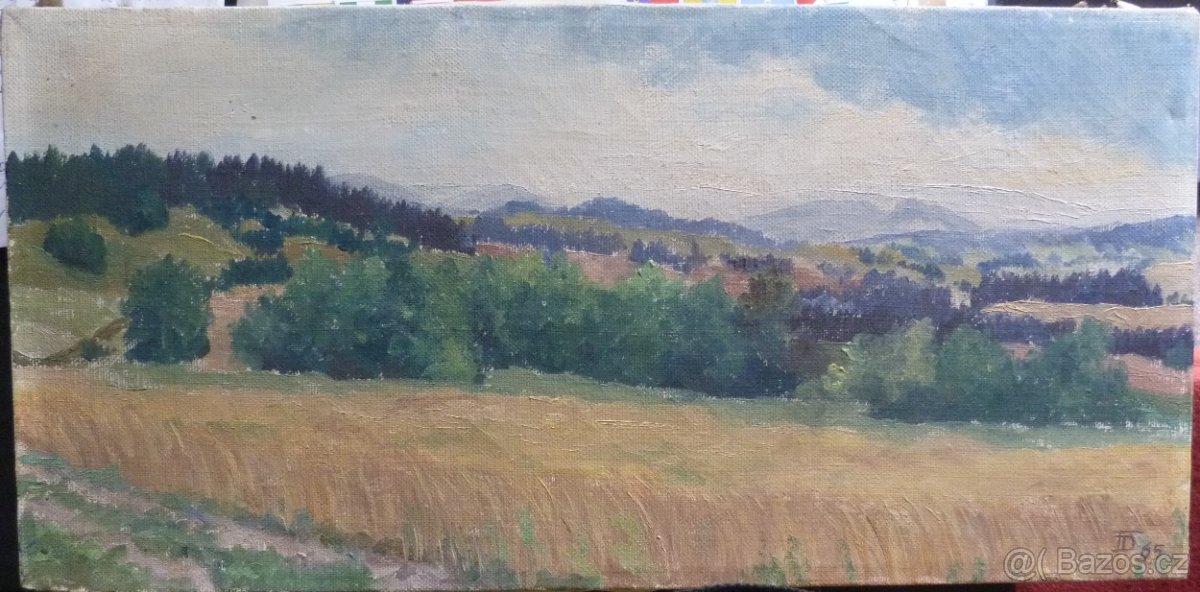 Pěkný obraz krajiny - 5