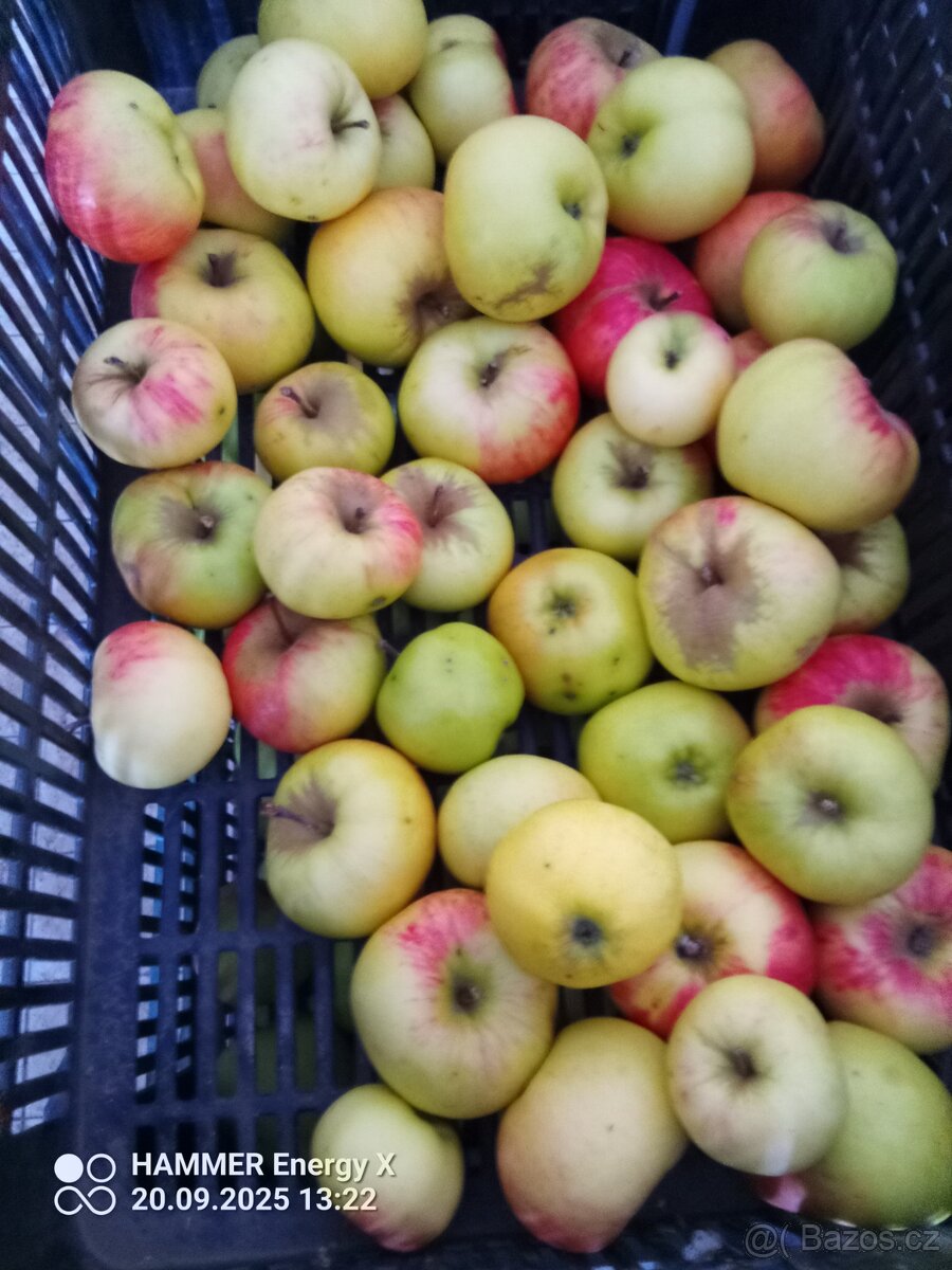 Jablka bio - 5