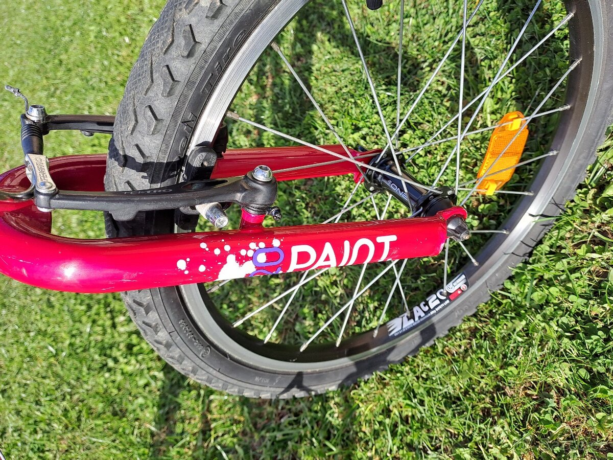 Superior Paint 20"- PĚKNÉ - 5