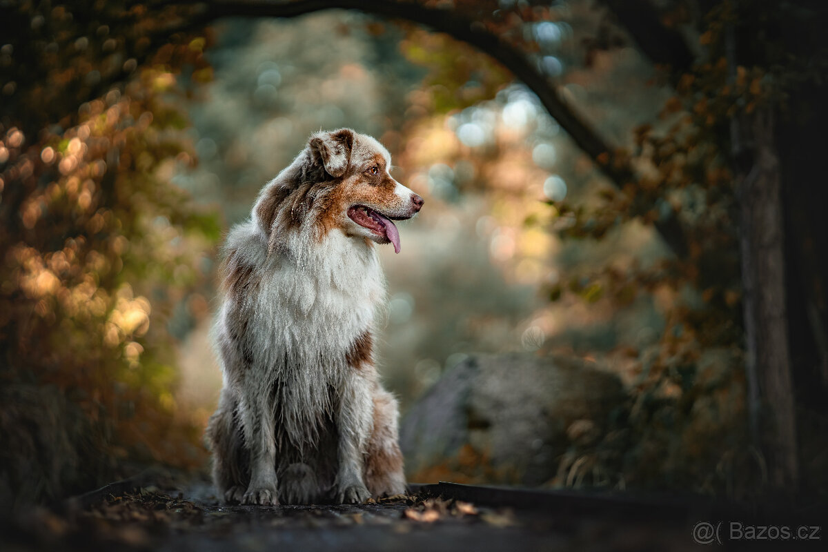 Meopta Meostigmat 92/1,7 Sony E a další - 5