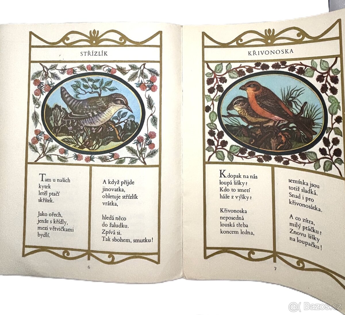 Lesní zpěváčci - 5